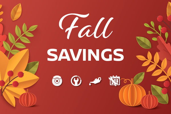 Fall Savings